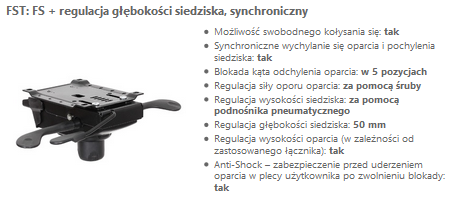 mechaniz FST.PNG