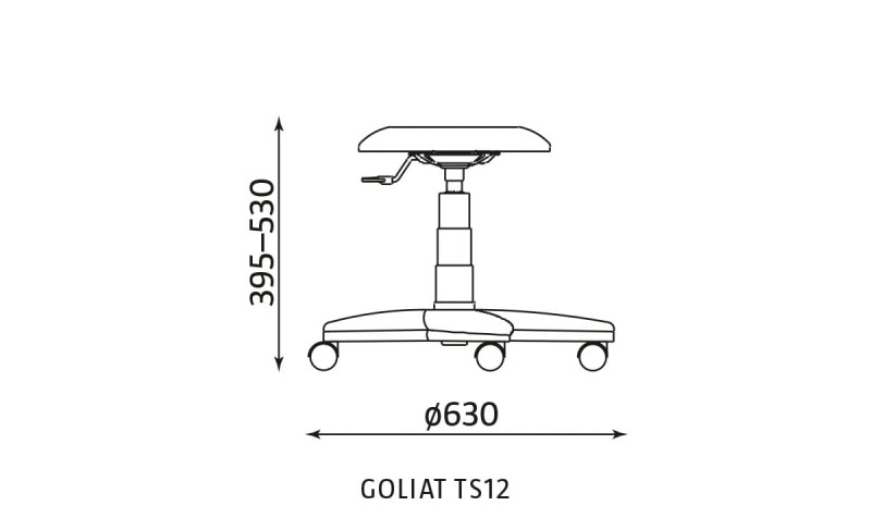 Goliat TS02-wymiary.jpg