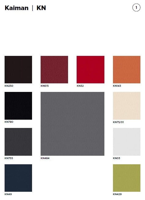 Kaiman KN (1).jpg