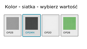 kolor siatka.png