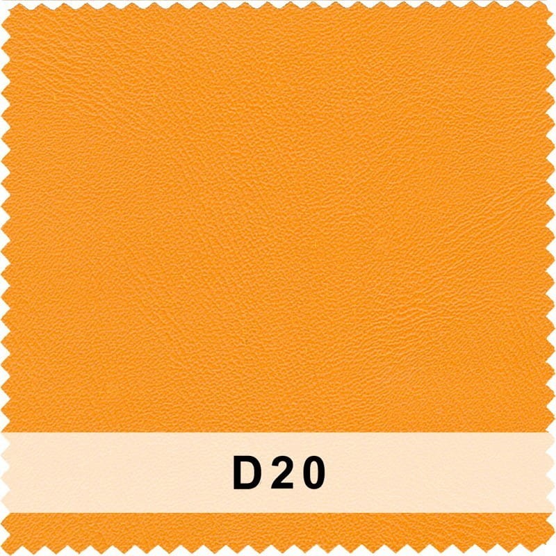 d20.jpg
