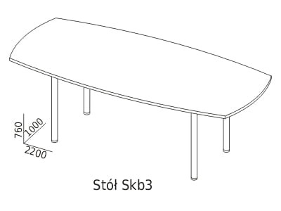 Skb3.jpg