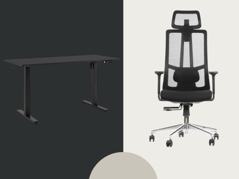 Activ + Ergonom XU.png