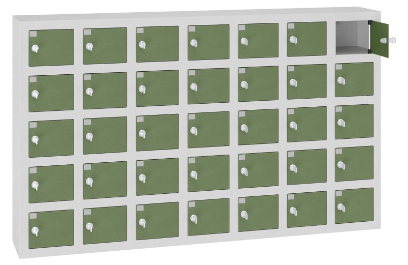 WSS 35 Kolorystyka korpusu - RAL 7035 Kolorystyka drzwi - RAL 6011.jpg