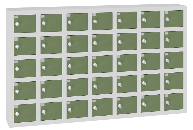 WSS 35 Kolorystyka korpusu - RAL 7035 Kolorystyka drzwi - RAL 6011(1).jpg