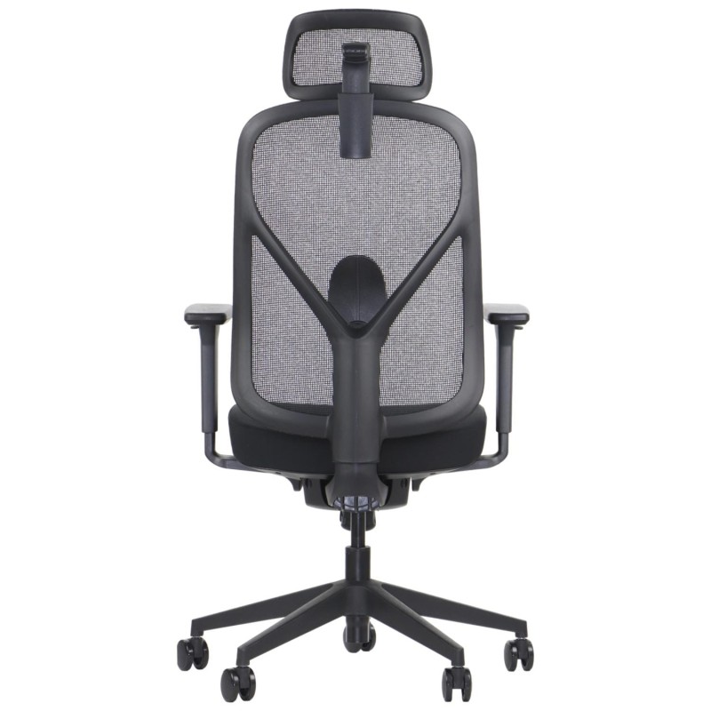 Larck-back.JPG