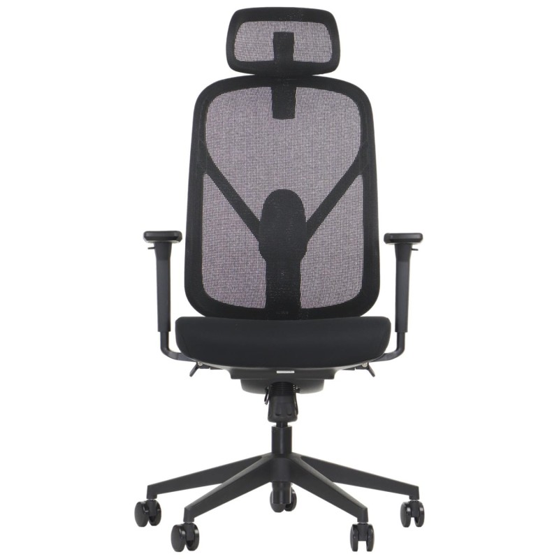 Larck-front.JPG