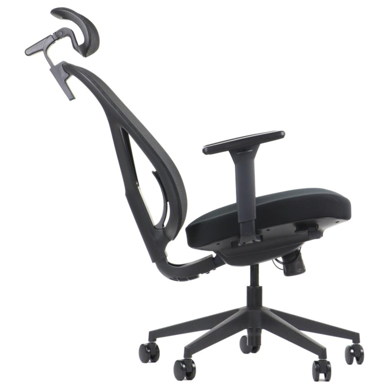 Larck-side2.JPG