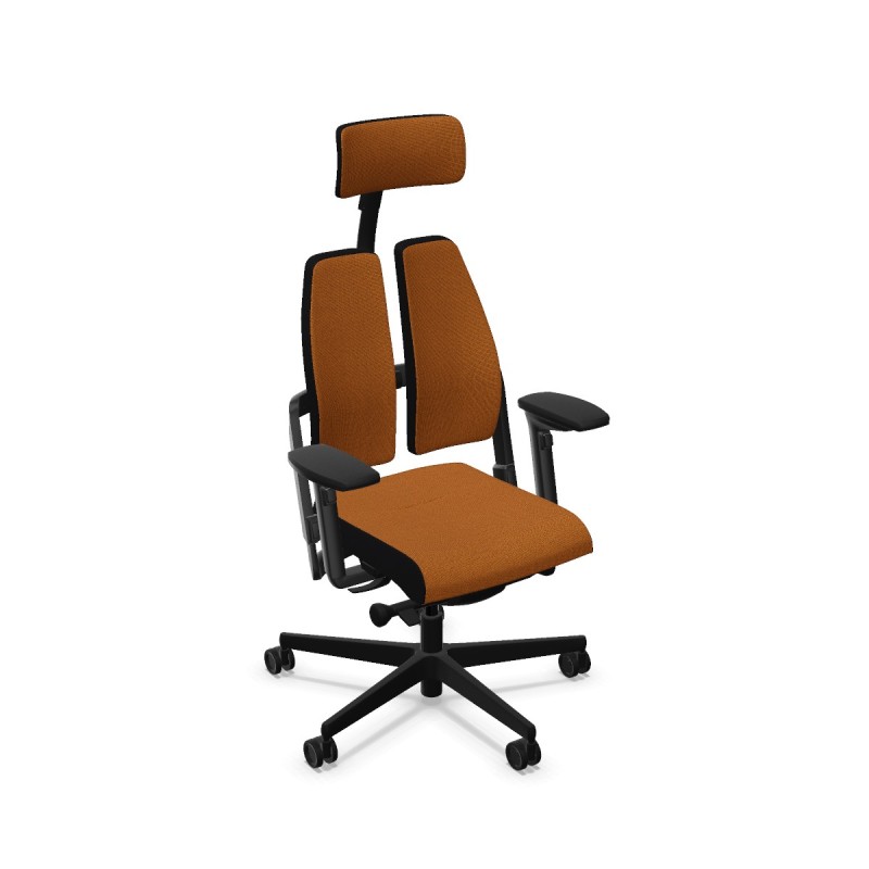 xilium-duo-back.jpg